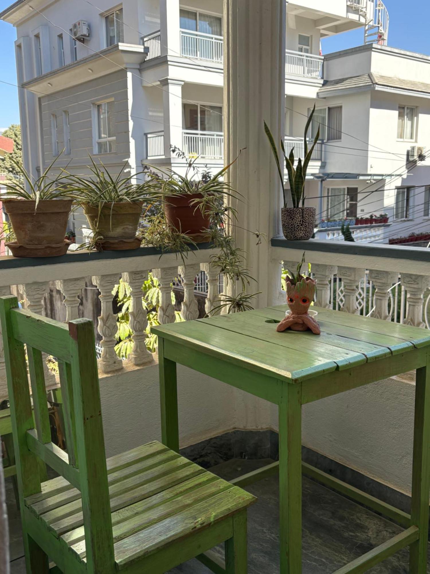 Drakon Nest Homestay Kathmandu Exteriör bild
