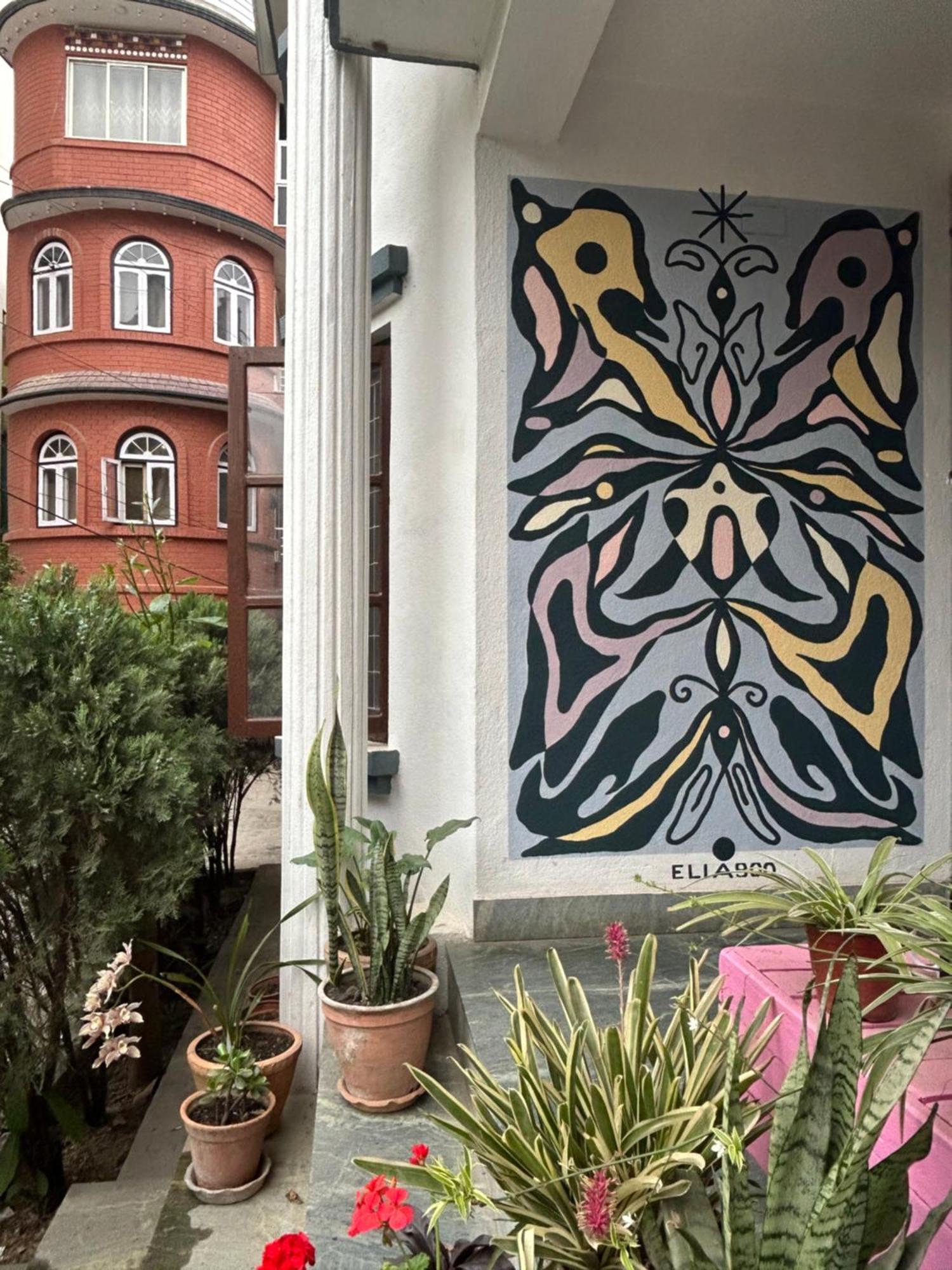 Drakon Nest Homestay Kathmandu Exteriör bild